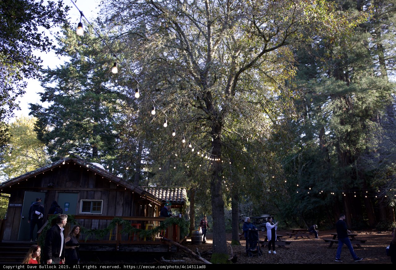 Autumn Gathering at Thistlewyck