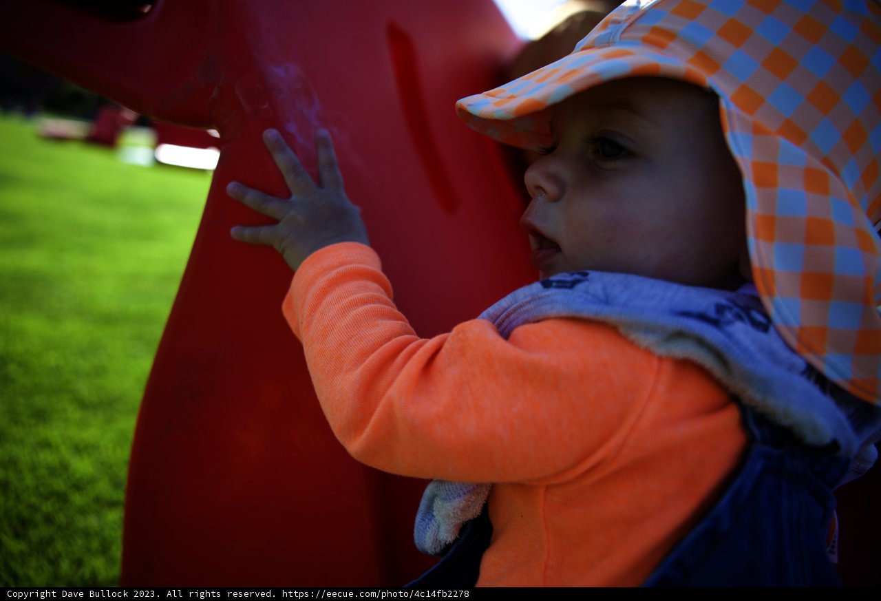 Adorable Adventure in the Park