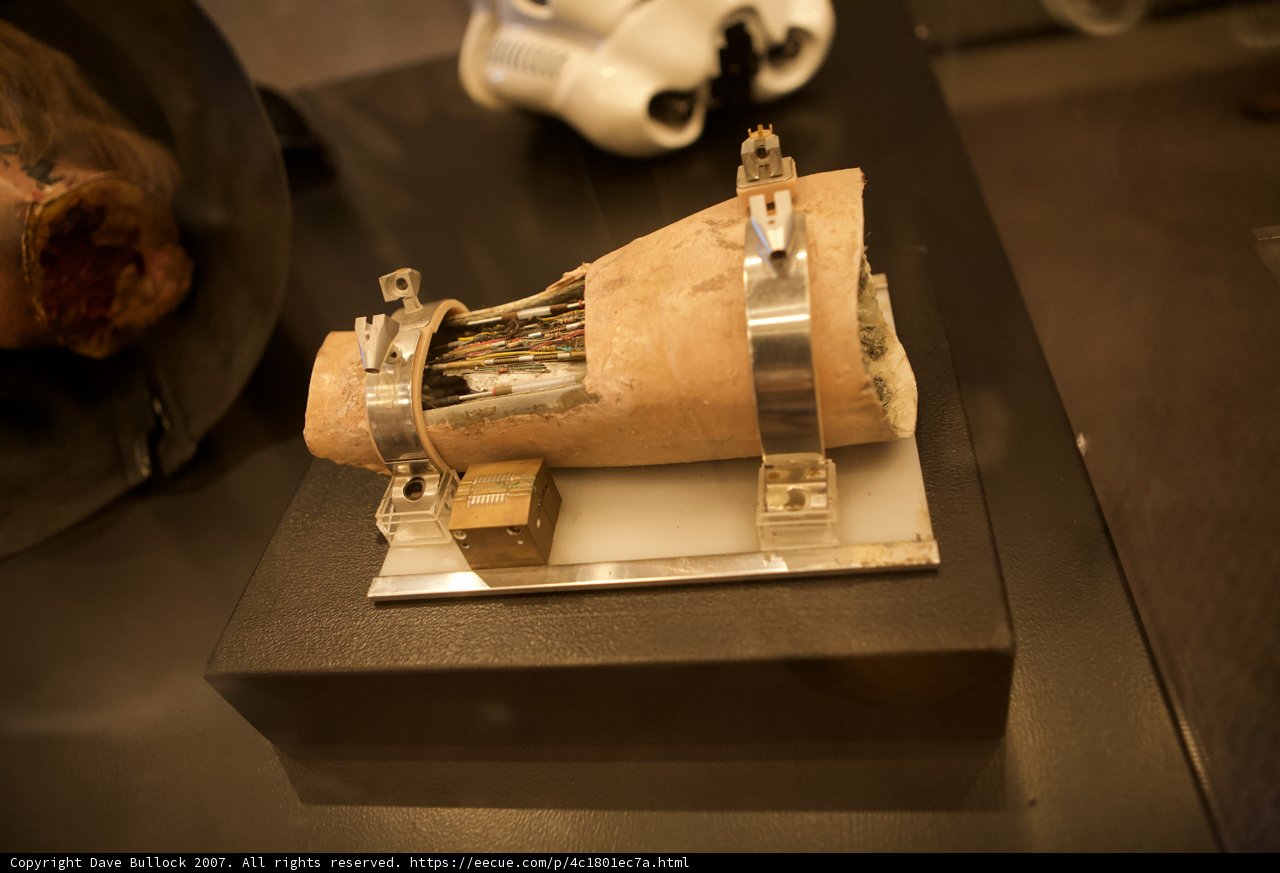 The Wooden Arm Exhibit