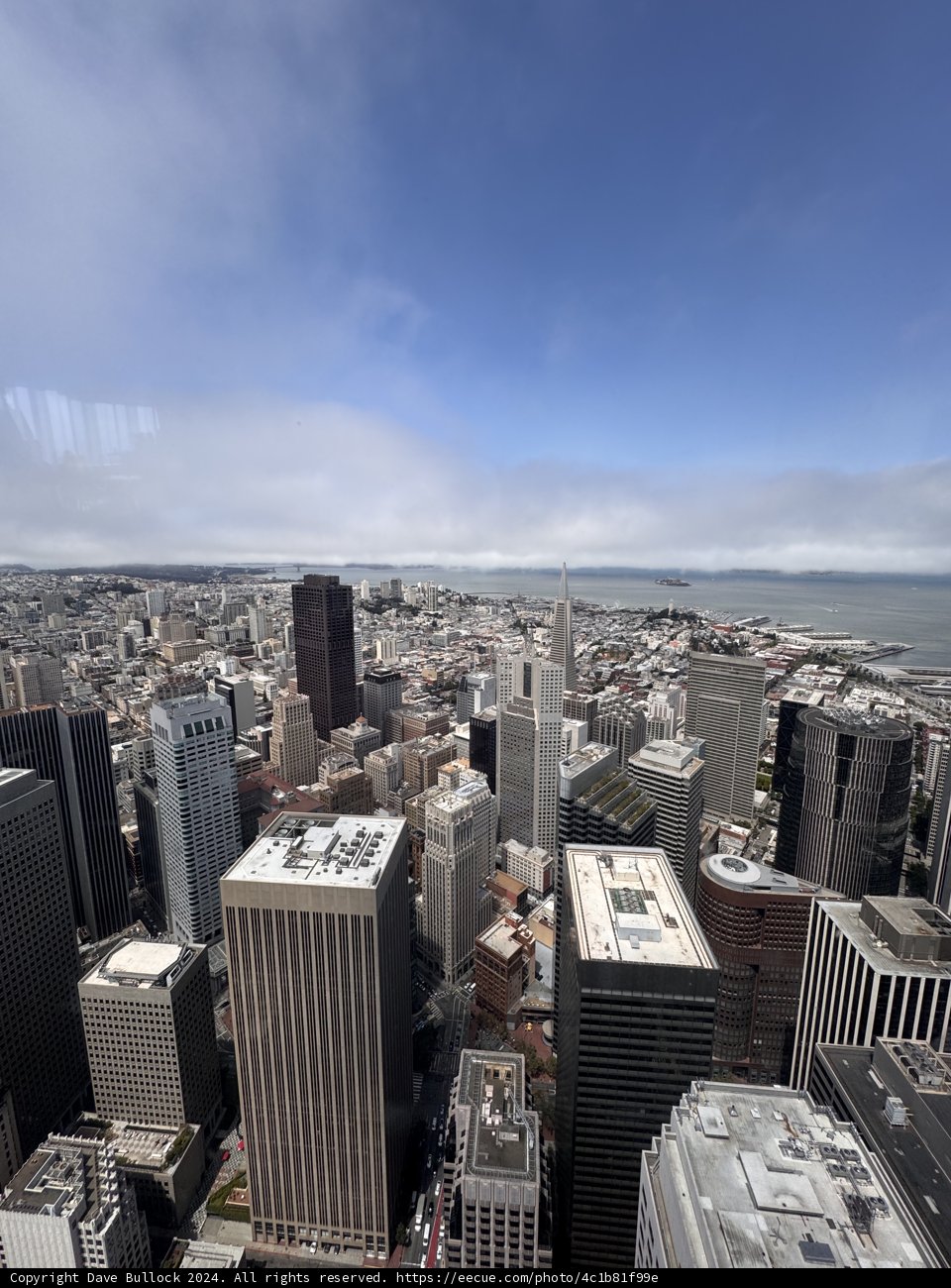 Skyward Glance Over San Francisco