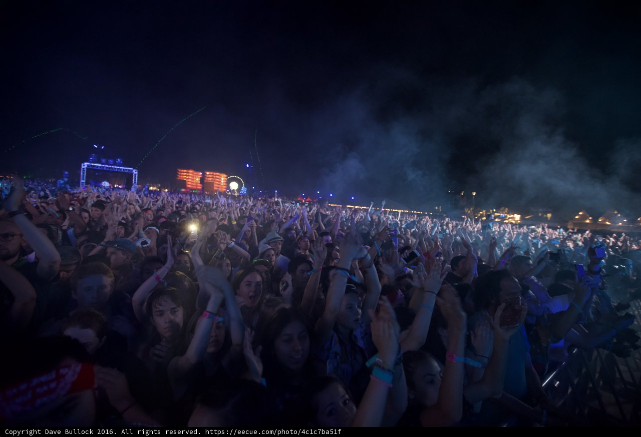 Coachella Nights