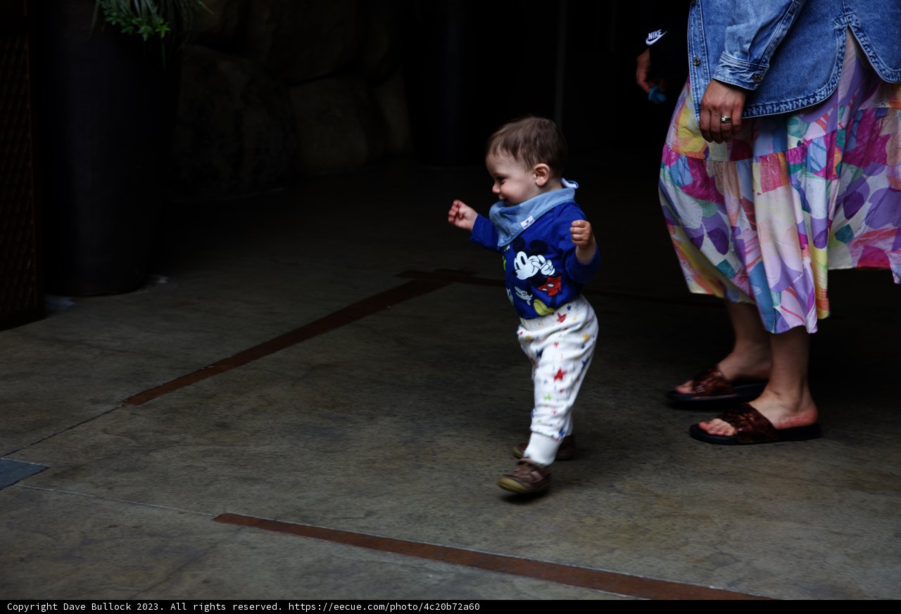 Magical Moments at Disneyland