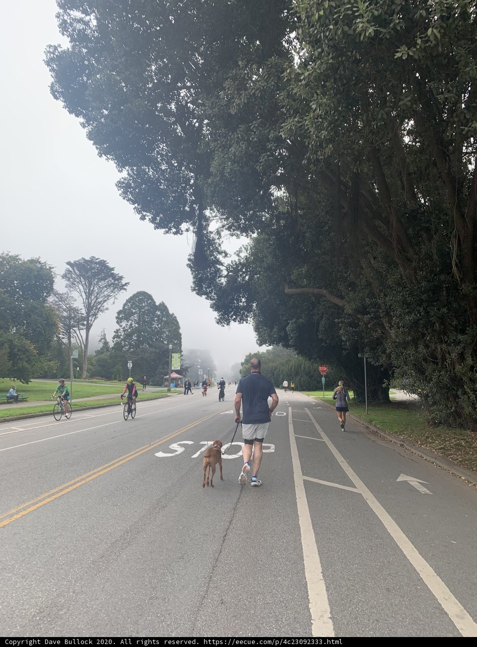 A Walk in Golden Gate Park