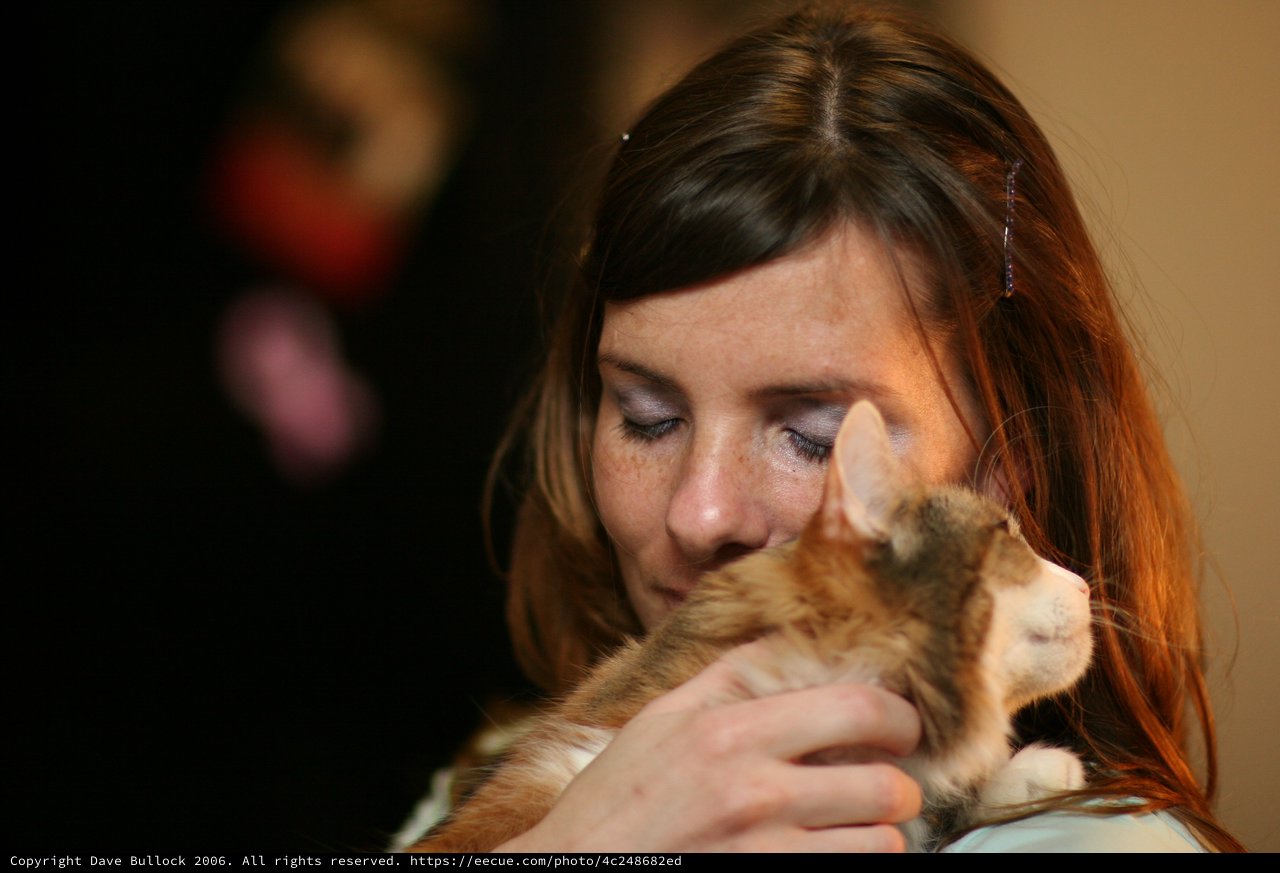 Tender Moment: Woman Nuzzling Her Kitten Lovingly