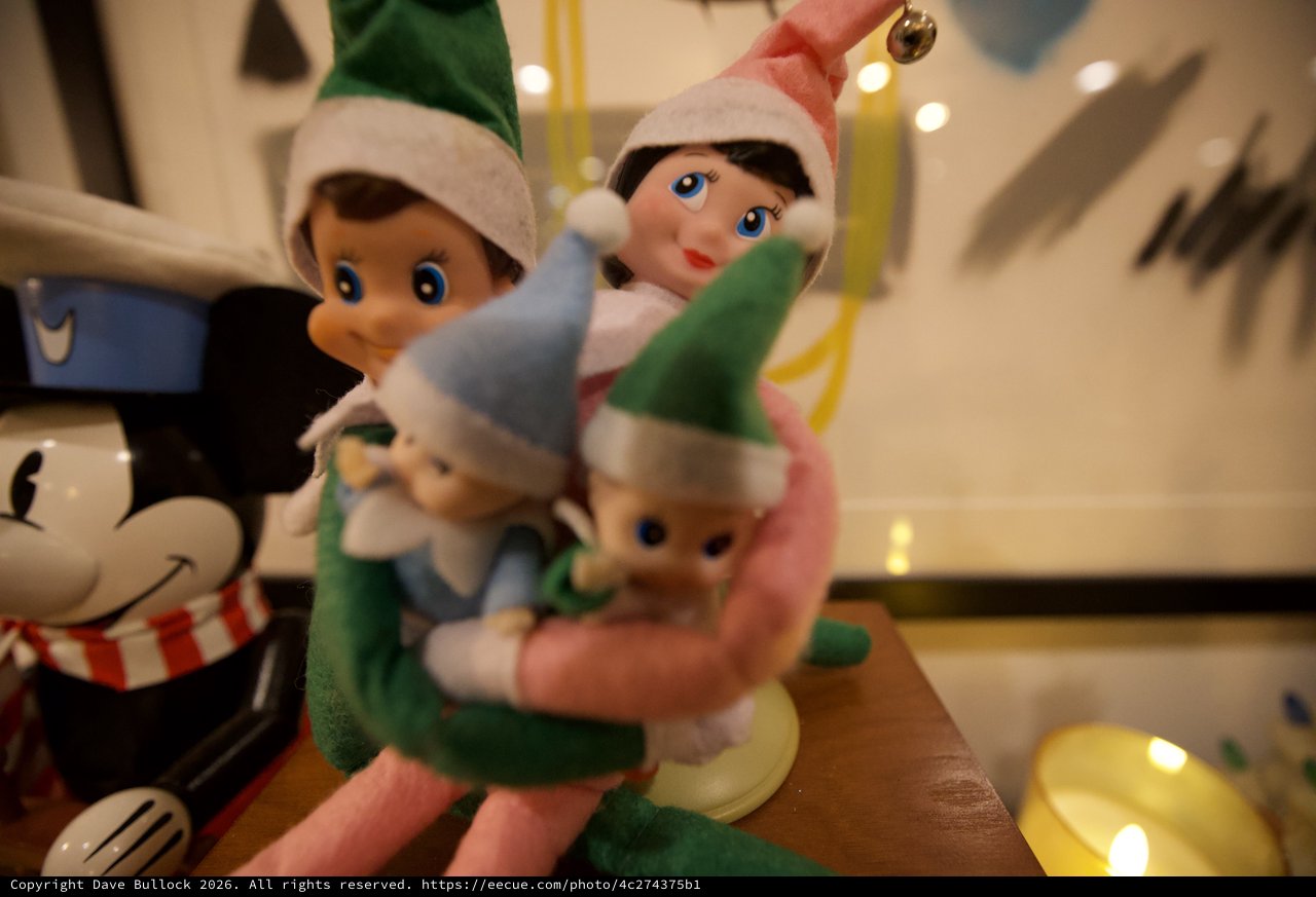 Elf on the Shelf Family Ornament Display