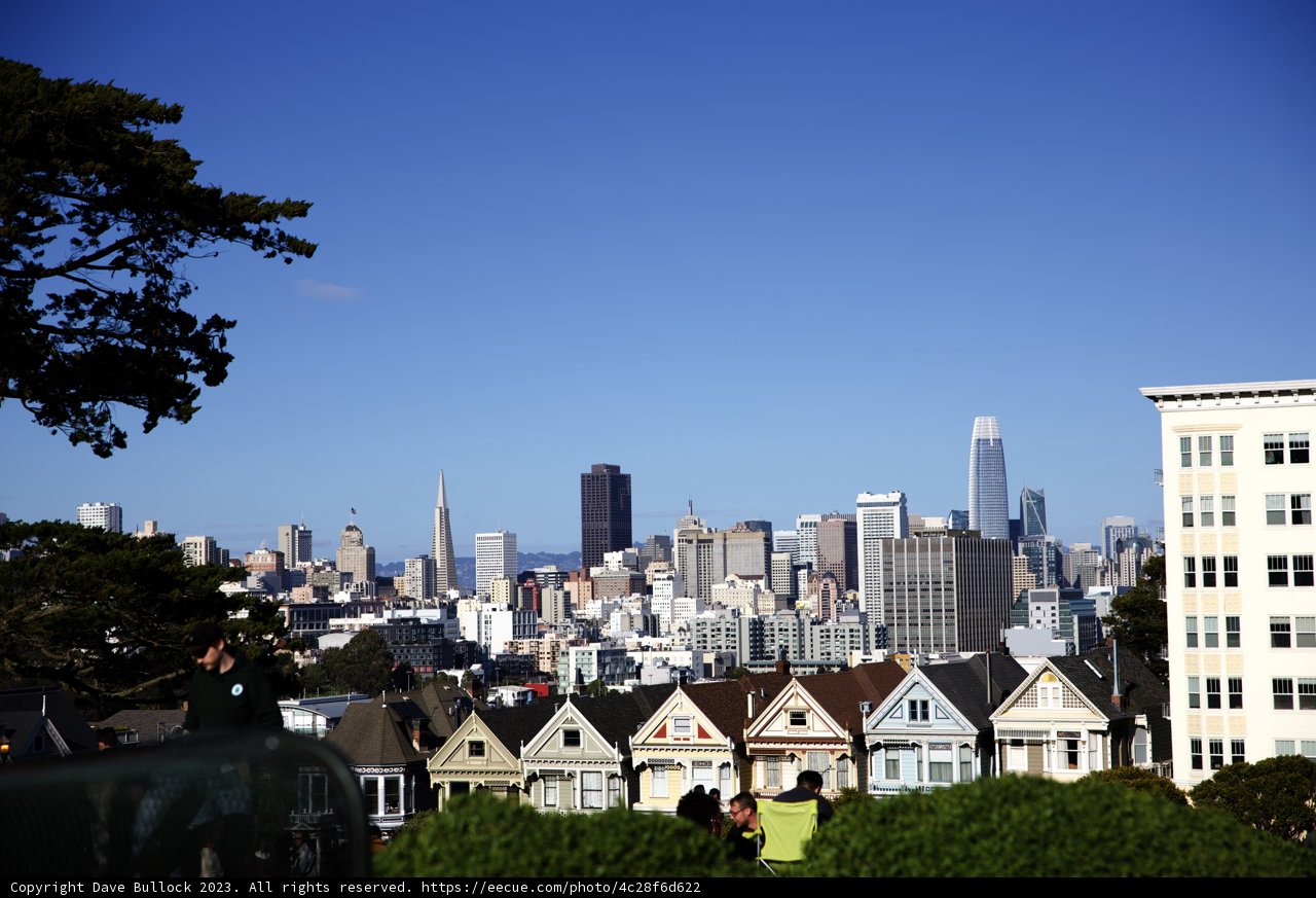 A Serene Afternoon at Alamo Square