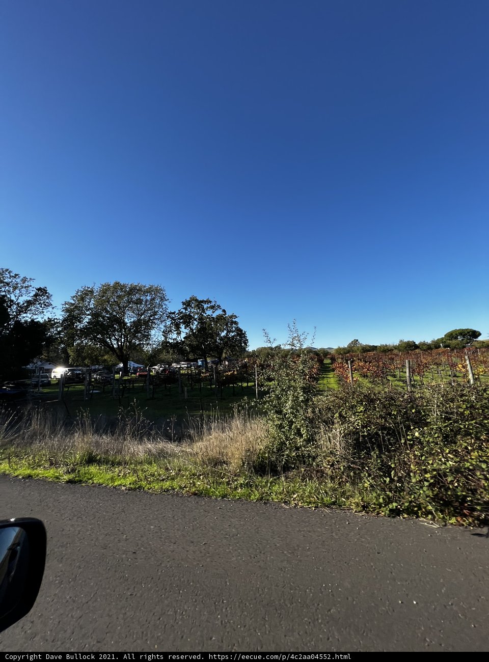 Roadside Scenery