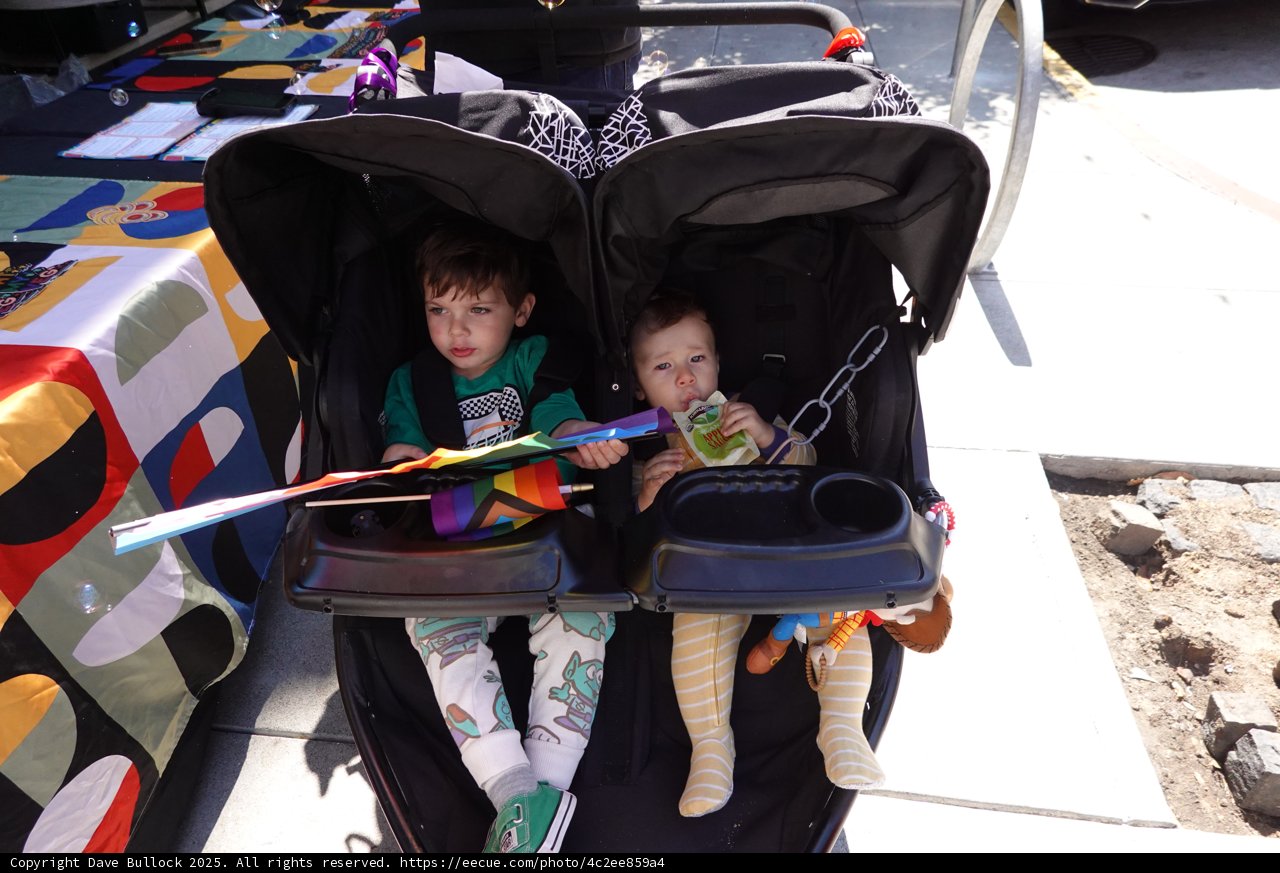 Stroller Adventures