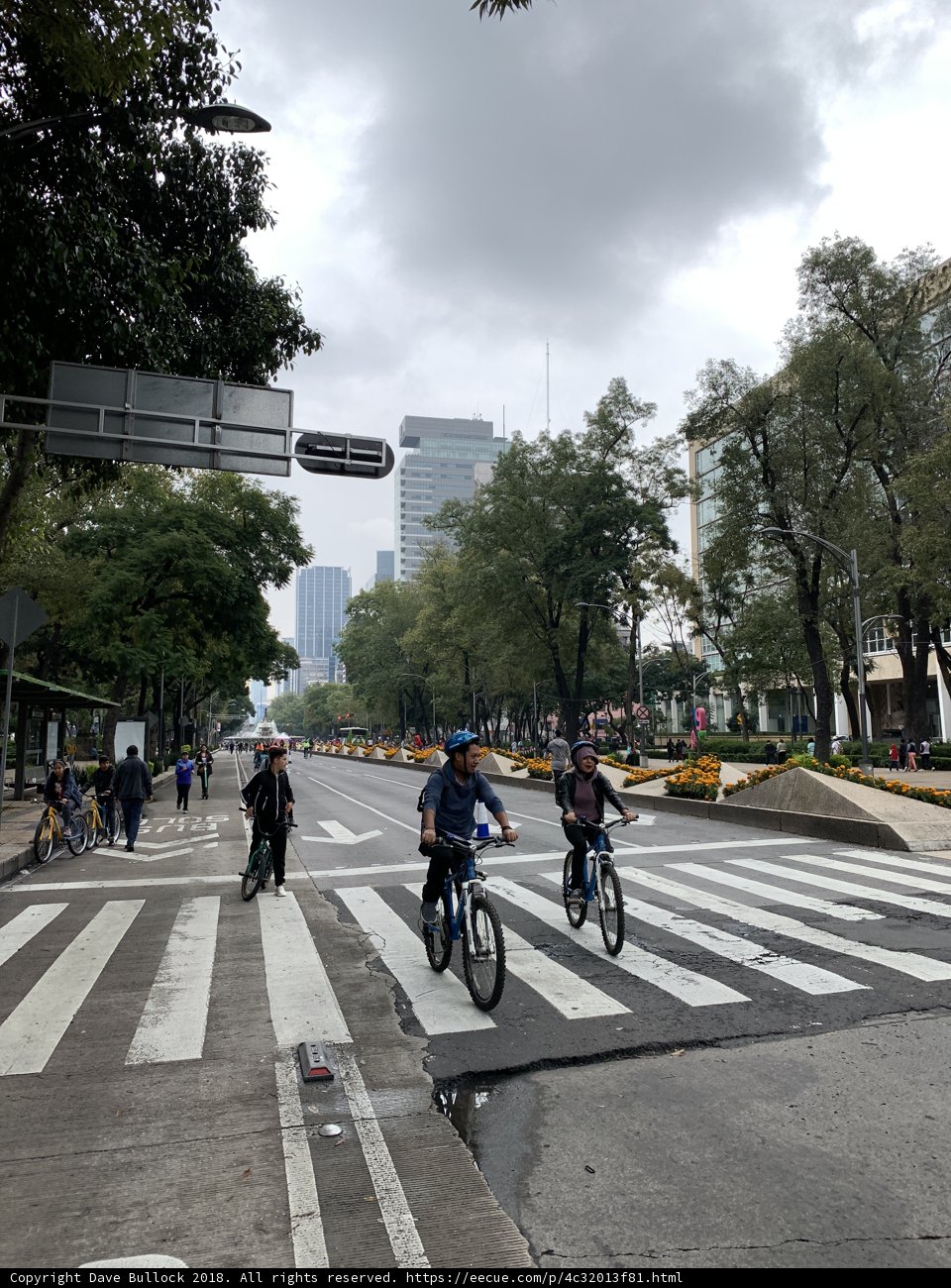 Biking through the Metropolis