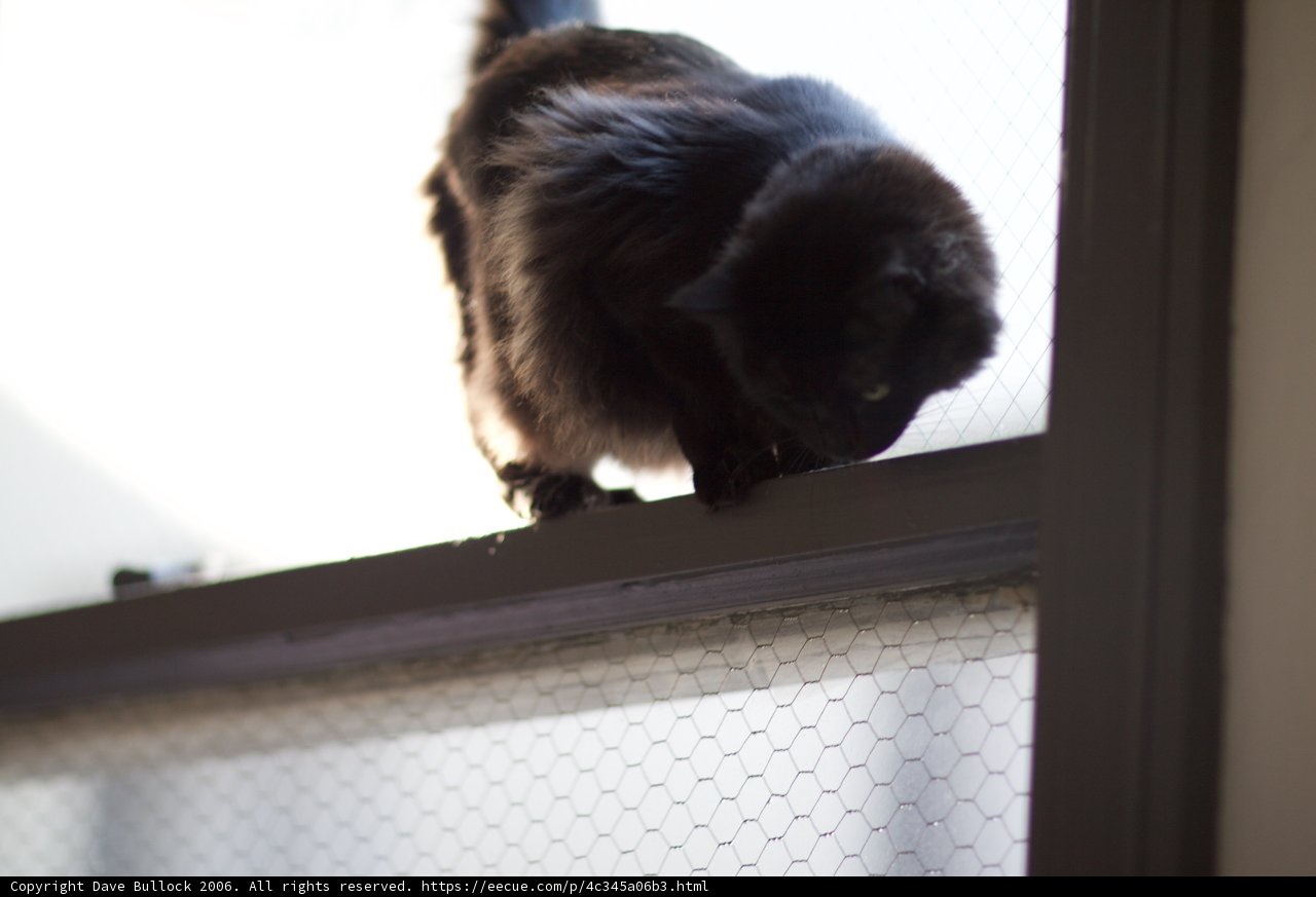 Ledge Adventurer