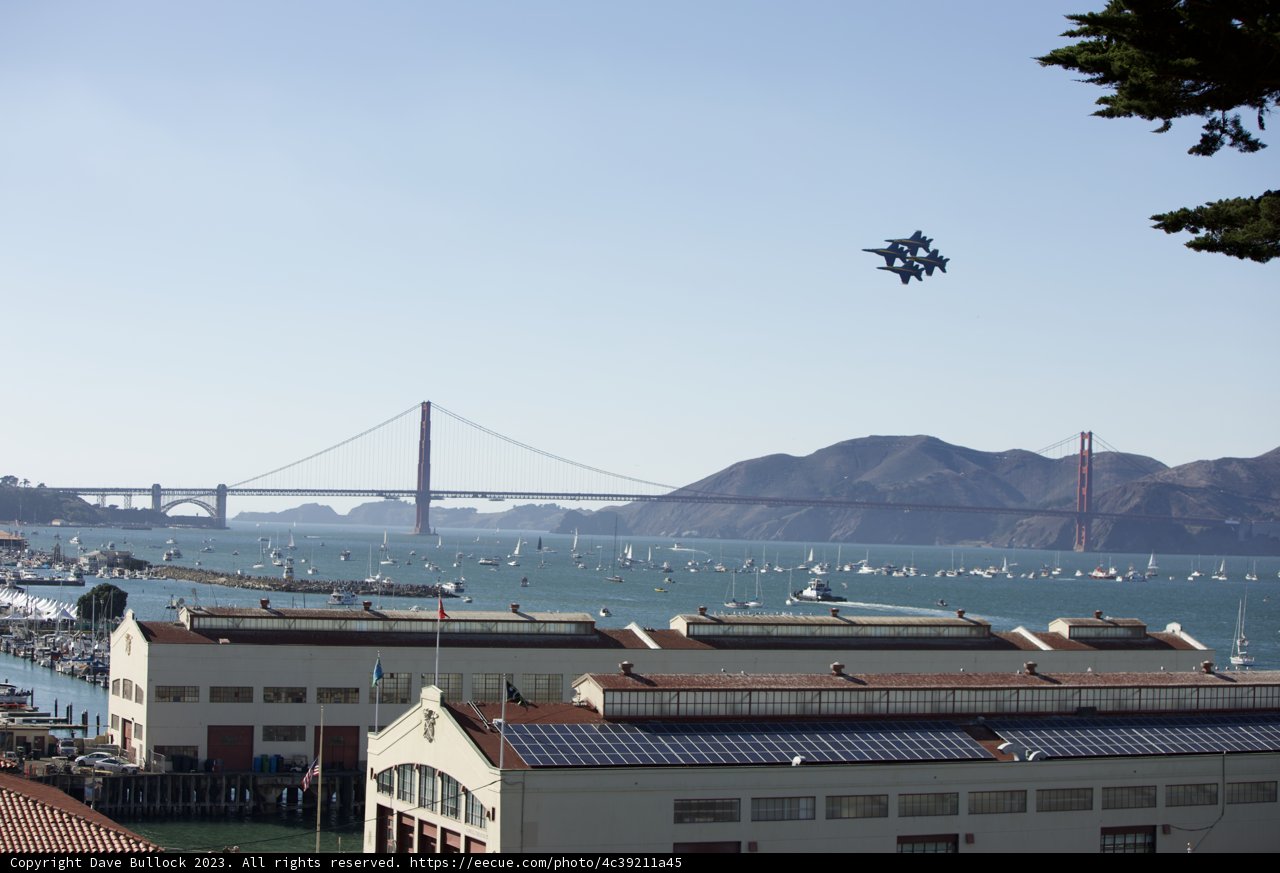 Urban Meets Nature: A Fleet Week Spectacle