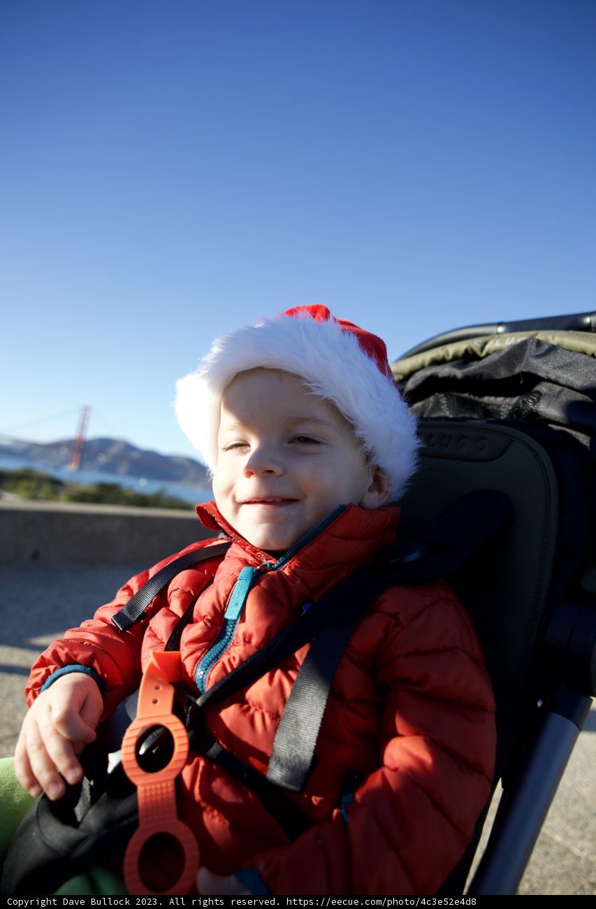Skyela's Holiday Stroll: A December to Remember