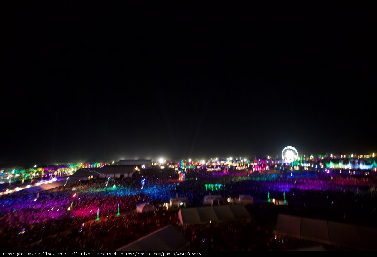 Neon Nightlife