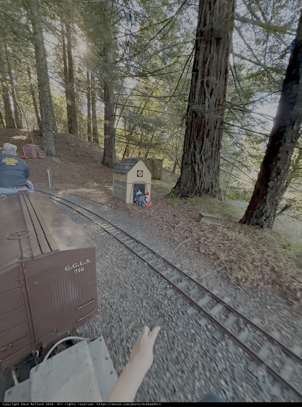 Miniature Railway Journey Through Forest Park