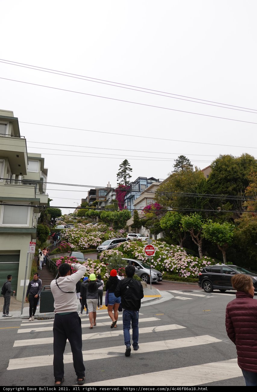 A Busy Street in the Urban Metropolis