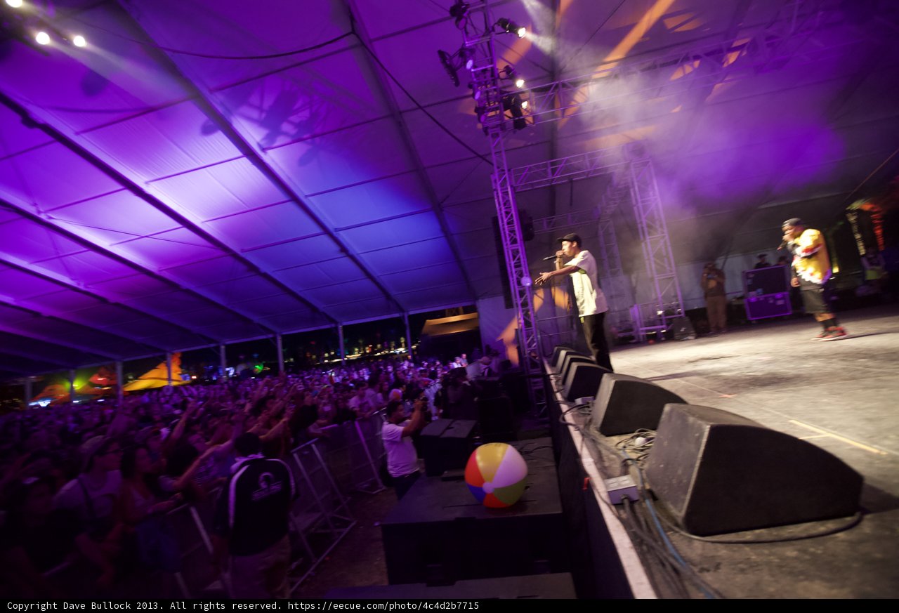 Purple Haze Performance