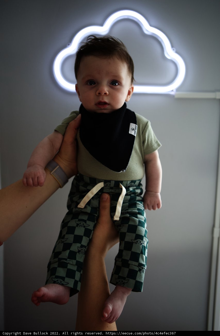 Checkered Cutie