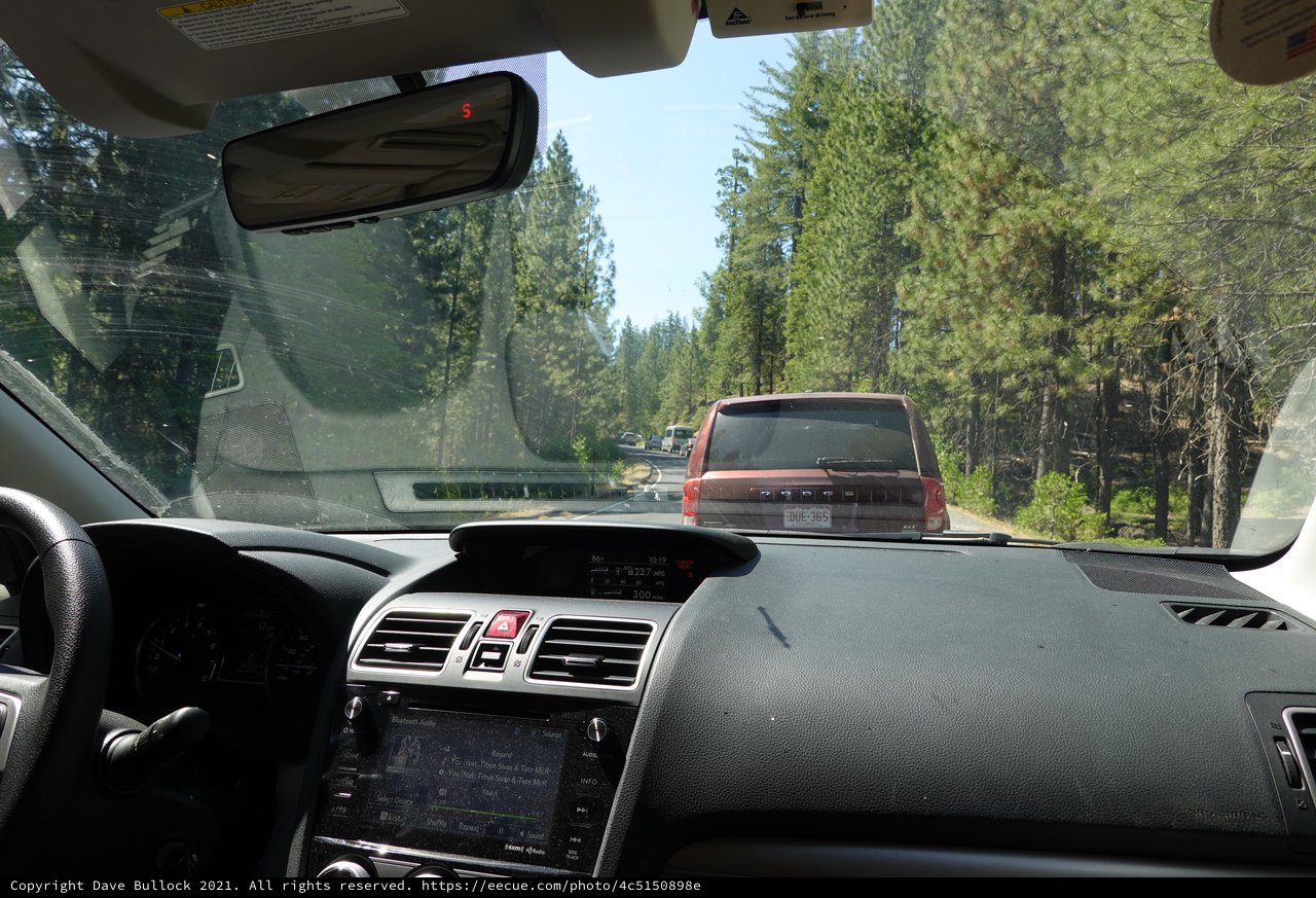 Forest Highway Drive Through Evergreen Mountains
