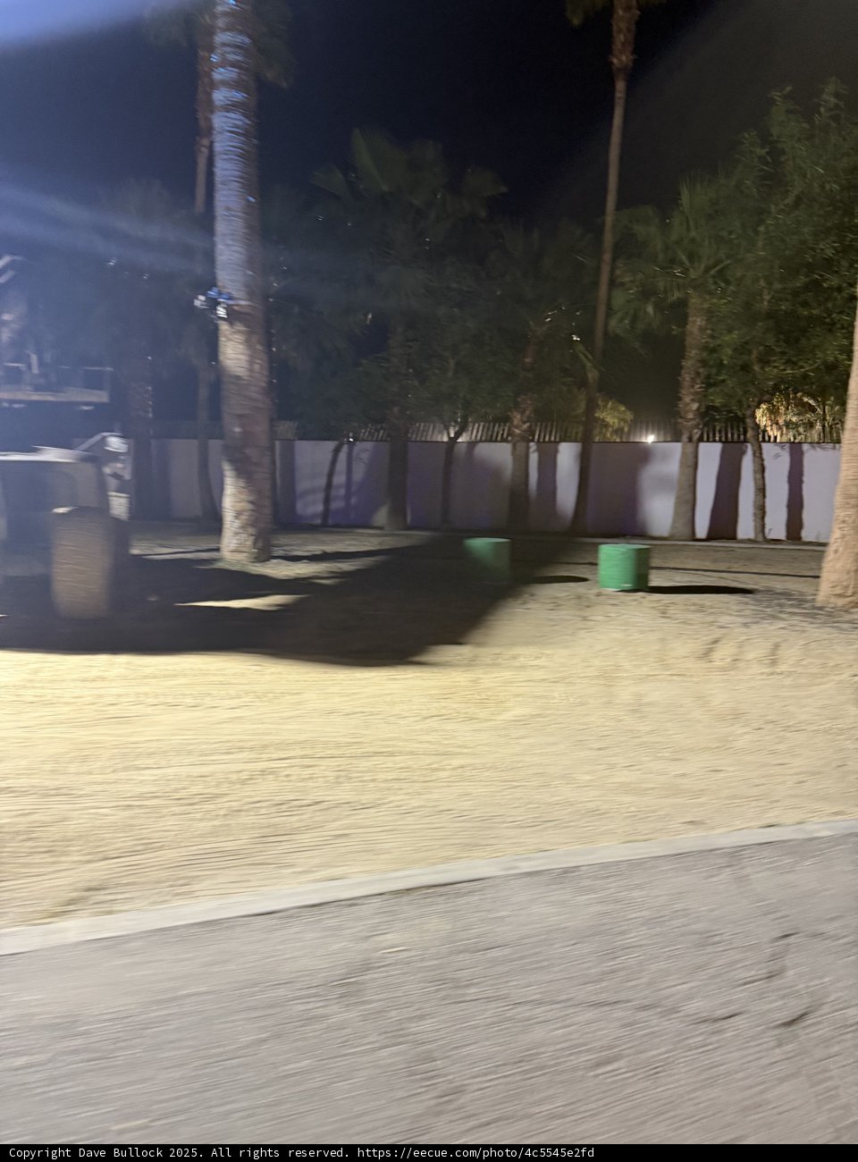 Nighttime Palms at Empire Polo Club