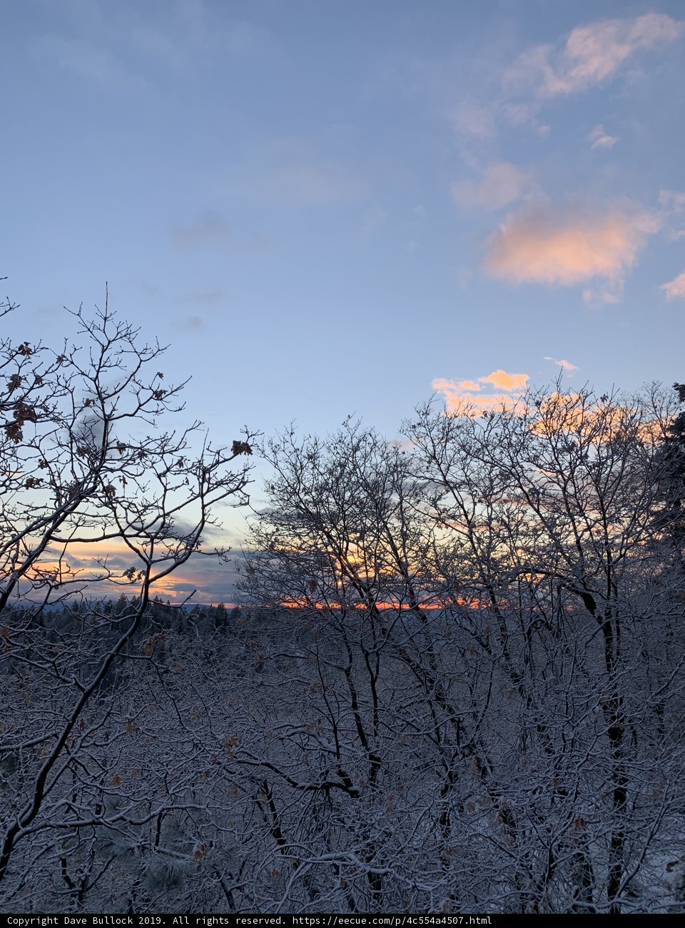 A Winter Wonderland