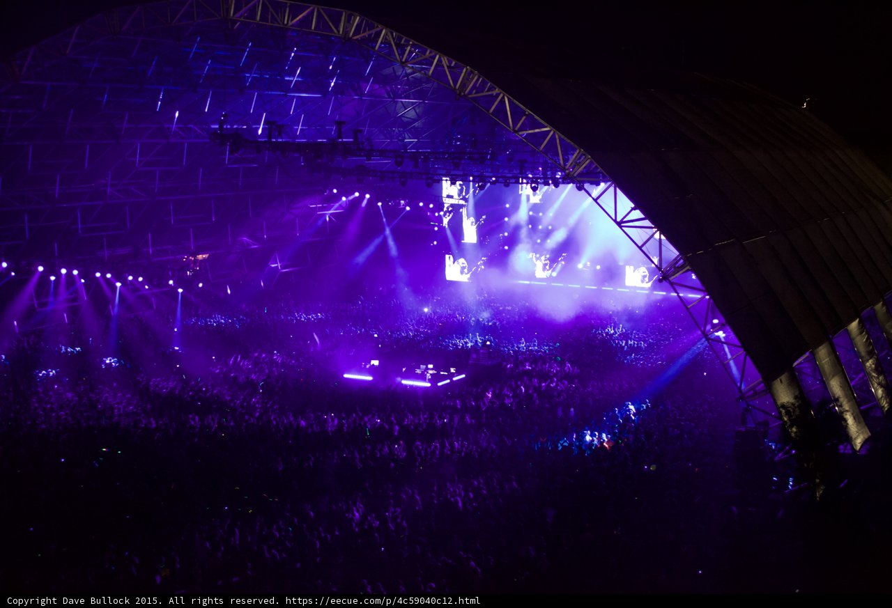 Purple Haze Concert