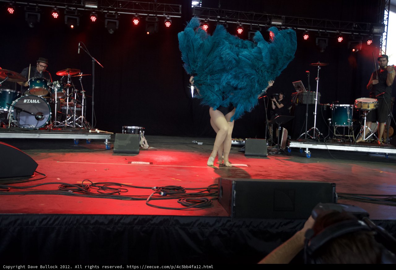 Blue Feather Performance