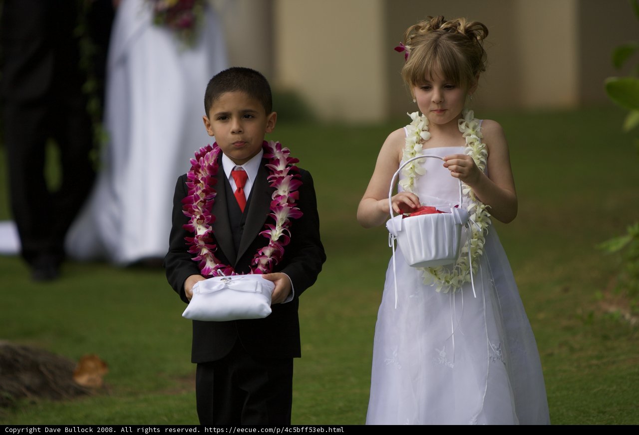Formal Attire for Young Ones