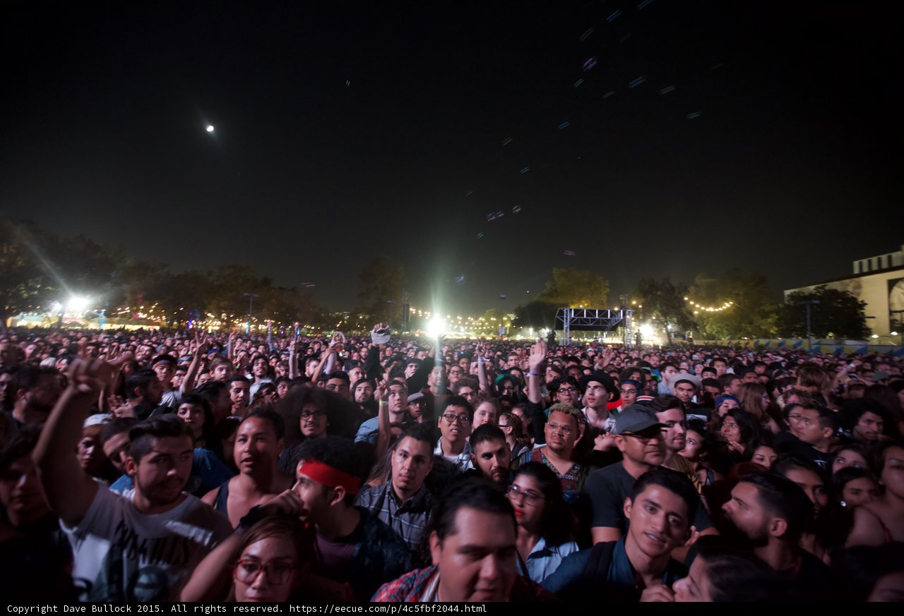 Hands Raised in Moonlight