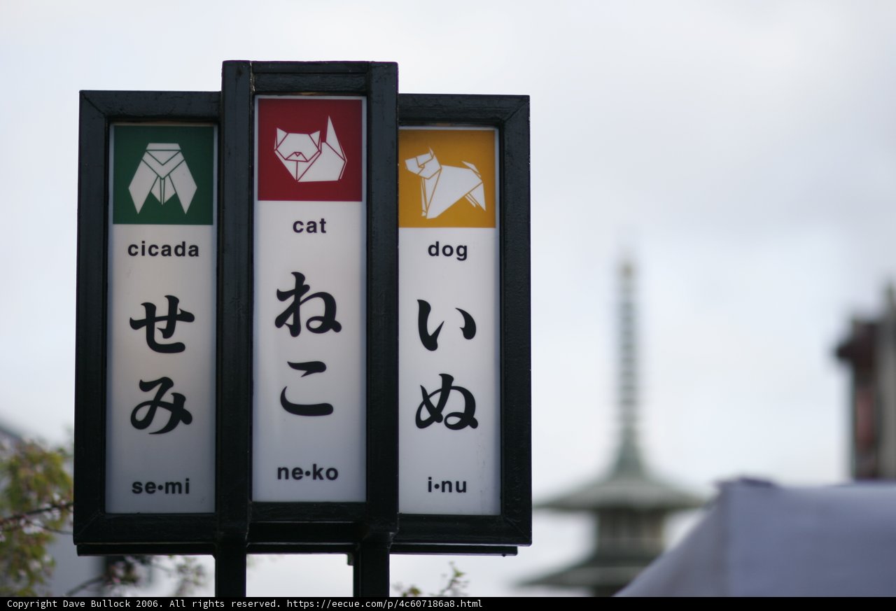 A Warning Sign for Pets