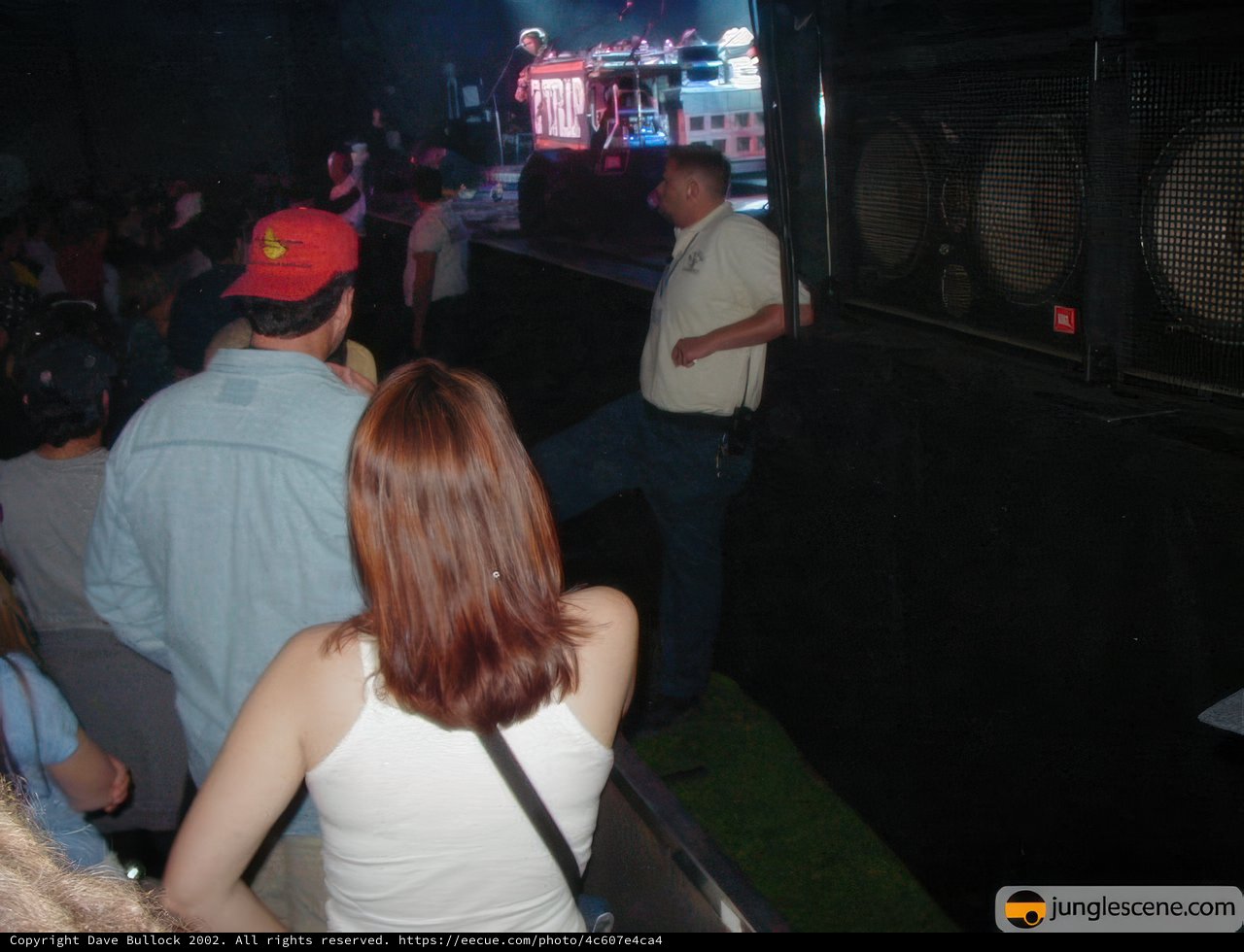 The Man in the Crowd