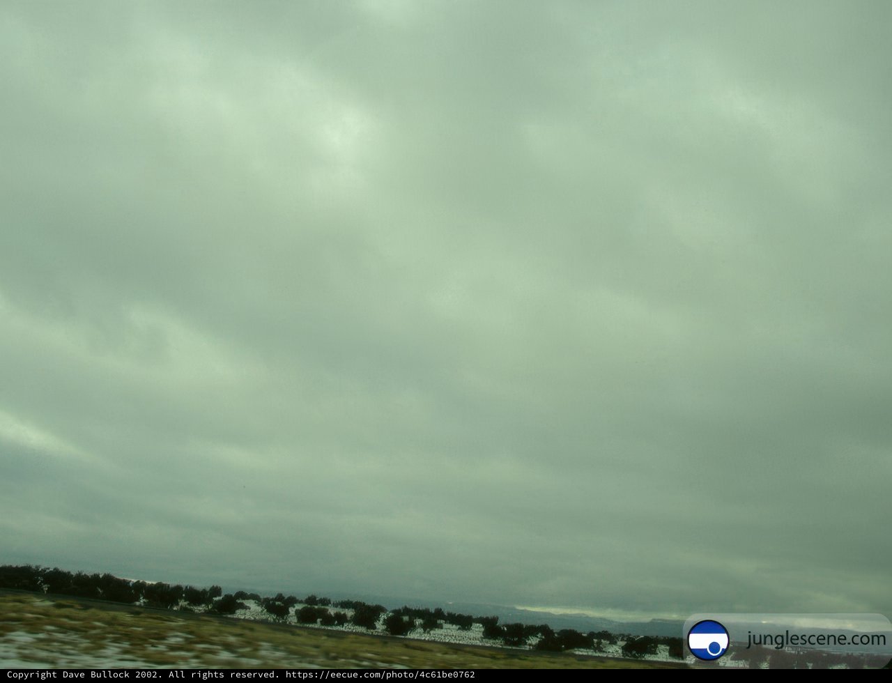 Moody Cumulus Clouds