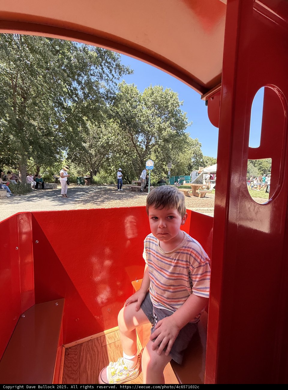 Summer Adventures in Walnut Creek