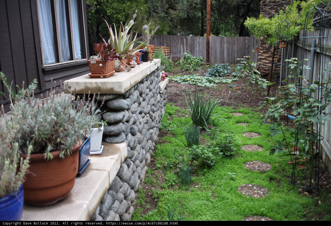 Serenity in the Backyard