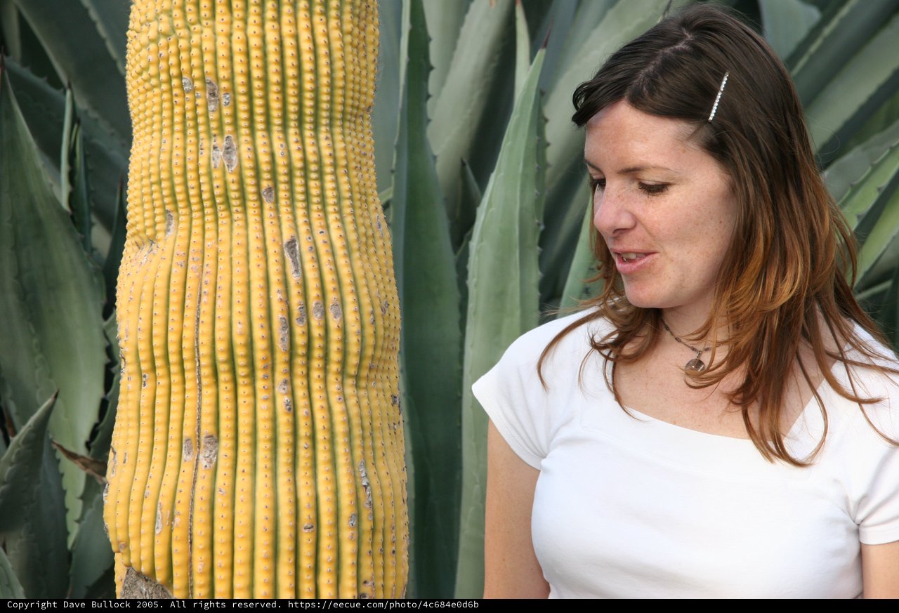 Woman Admiring Towering Yellow Cactus Among Agave