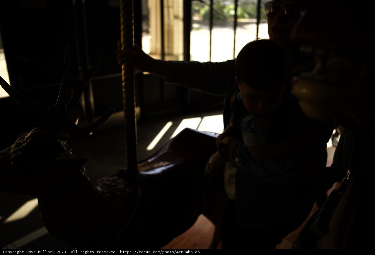 Carousel Moments at Golden Gate Park