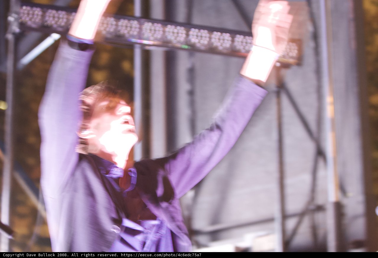 Energized Crowd at 2008 Detour Concert