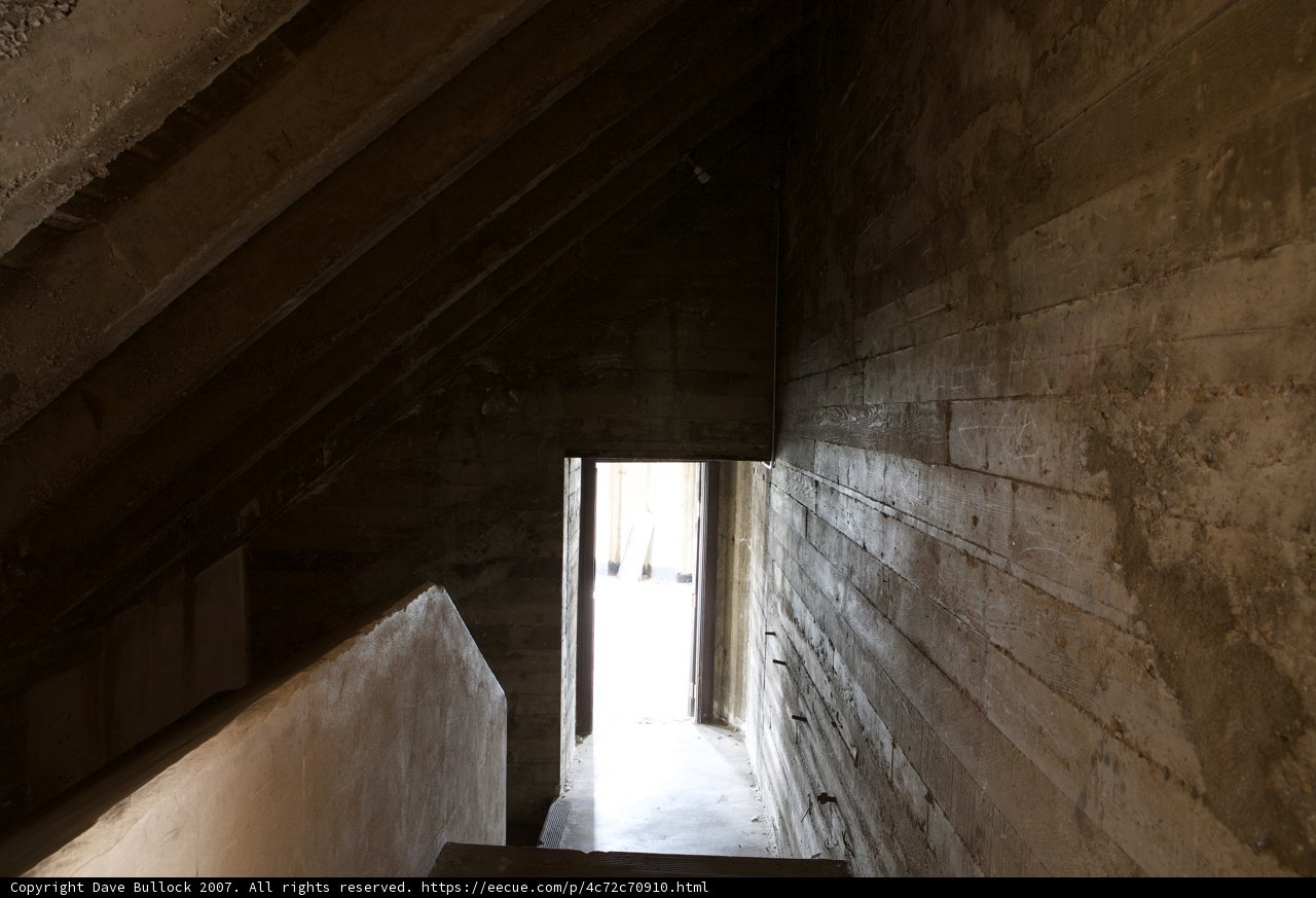 Ascending to the Light