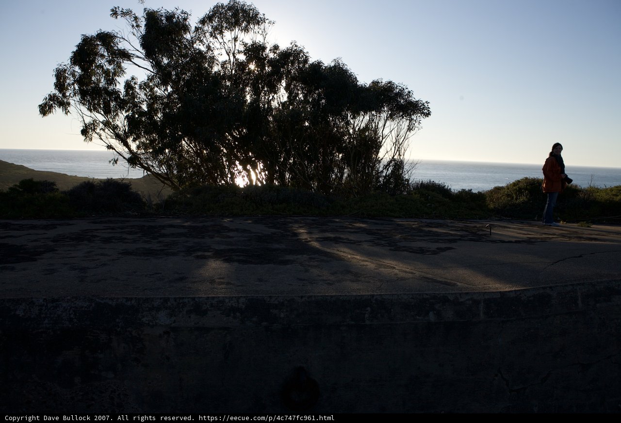 The Ocean's Edge