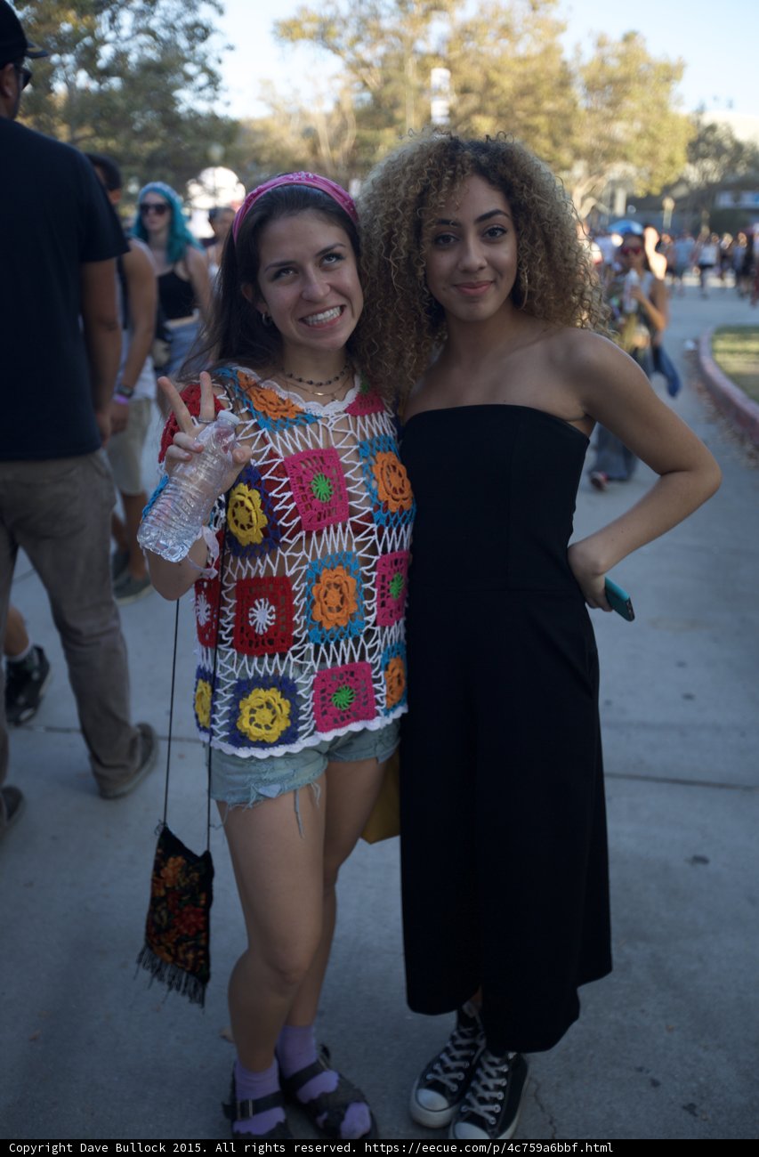 Festival Friends Peace Sign