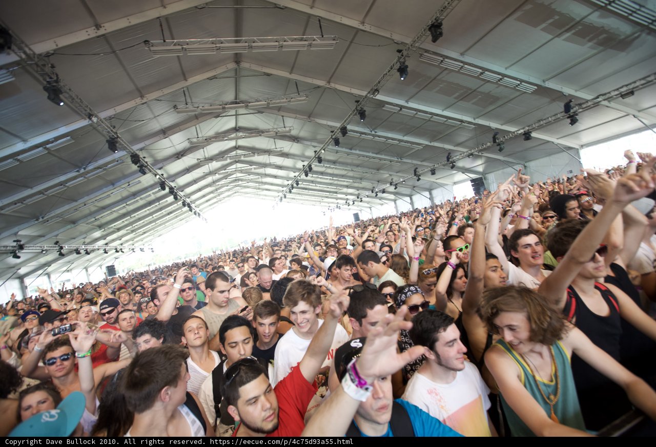 Coachella Crowd