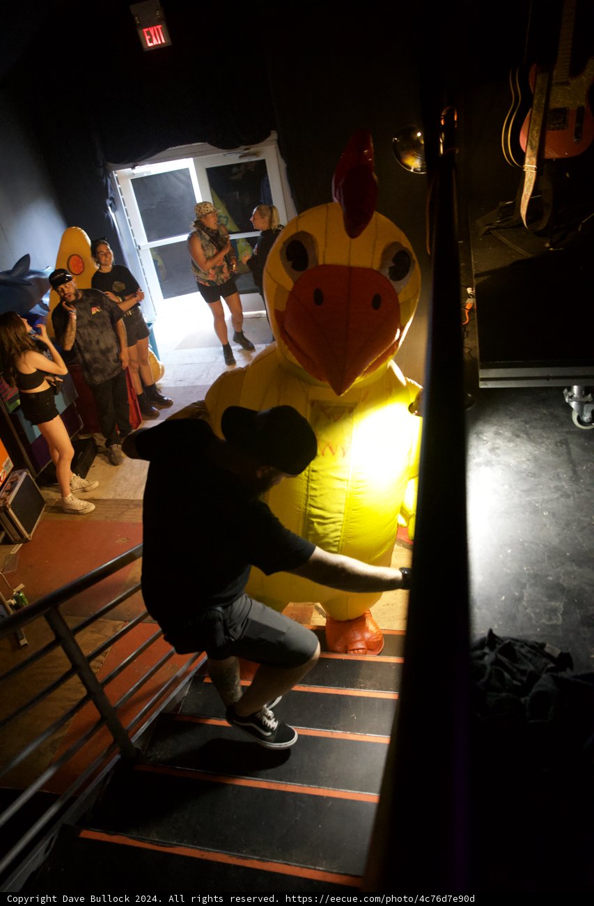 Quirky Moment at Coachella 2024: Night of the Inflatable Rooster
