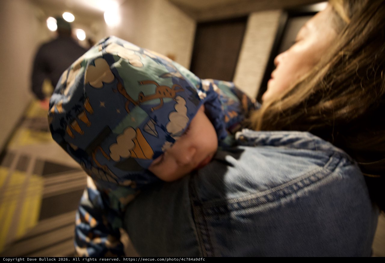 Child in Dinosaur Pajamas Being Carried Indoors