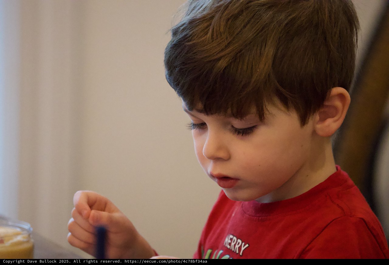 Young Boy in Festive Red Shirt at Christmas Time