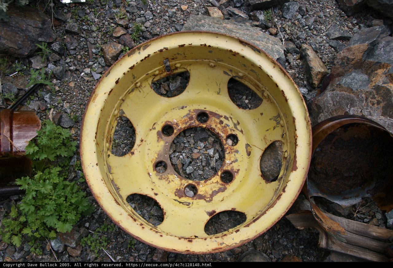 Rusty Car Wheel Amongst Foliage
