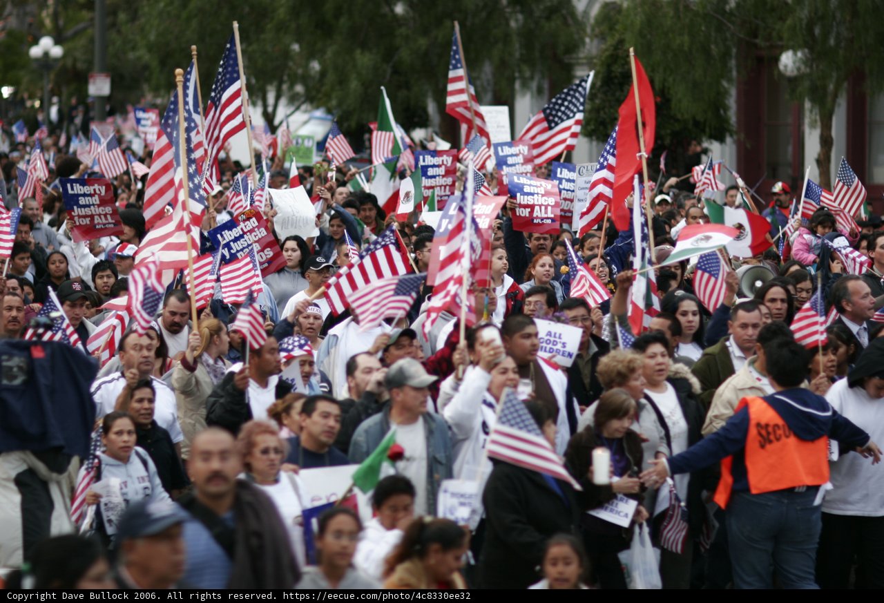 Patriotic Crowd