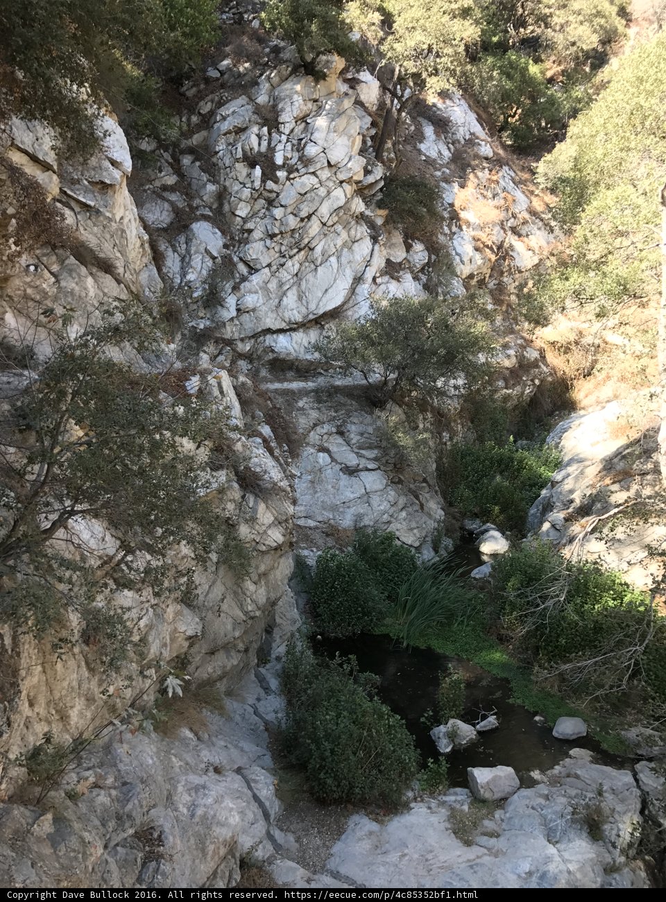 Cascading Waters in the Angeles National Forest