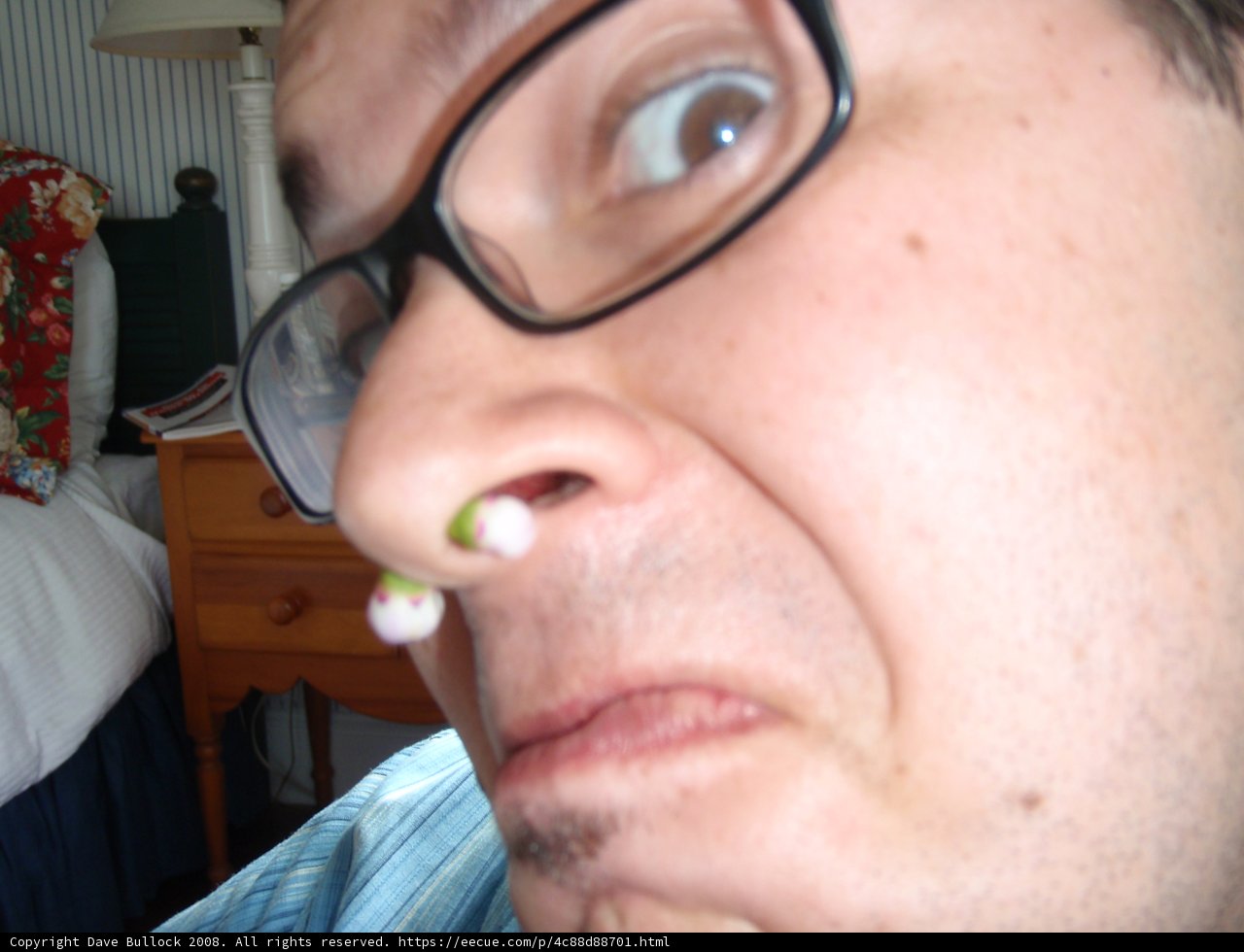 The Nose Ringed Explorer