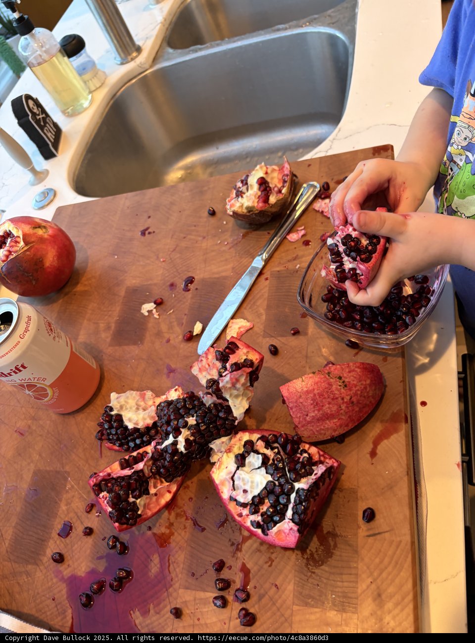 Pomegranate Exploration in the Kitchen