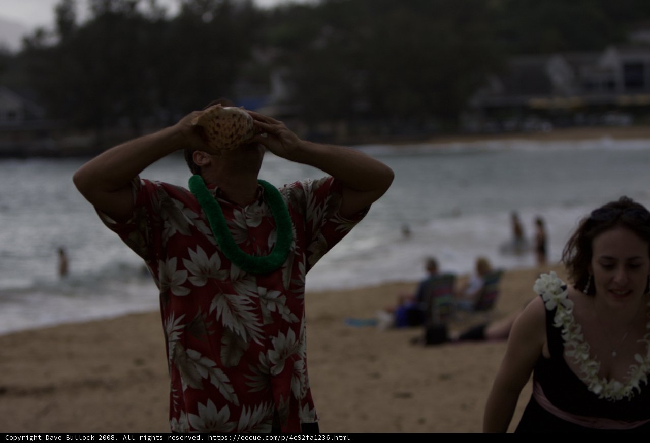 Hawaiian Escape