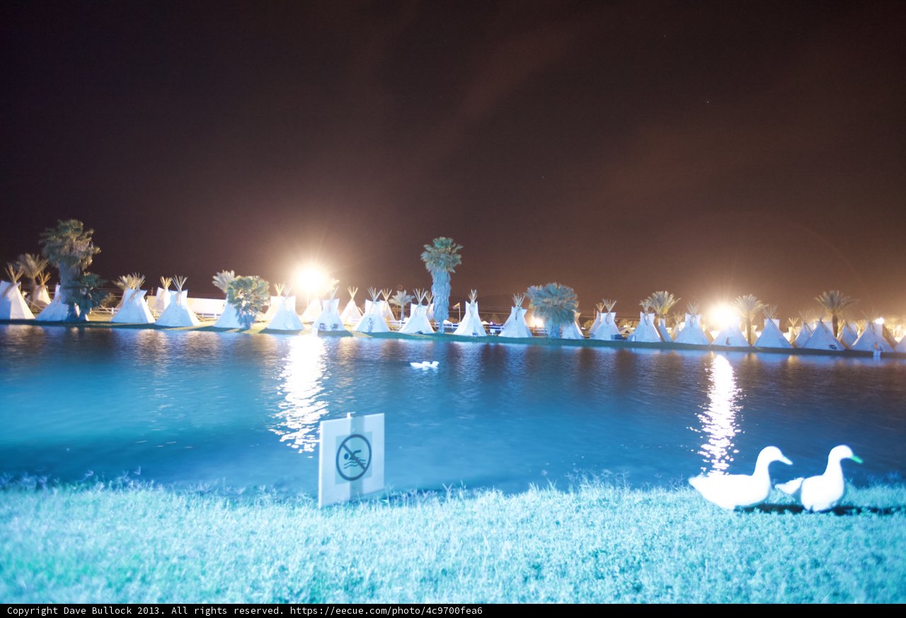 Nighttime Ducks in the Resort